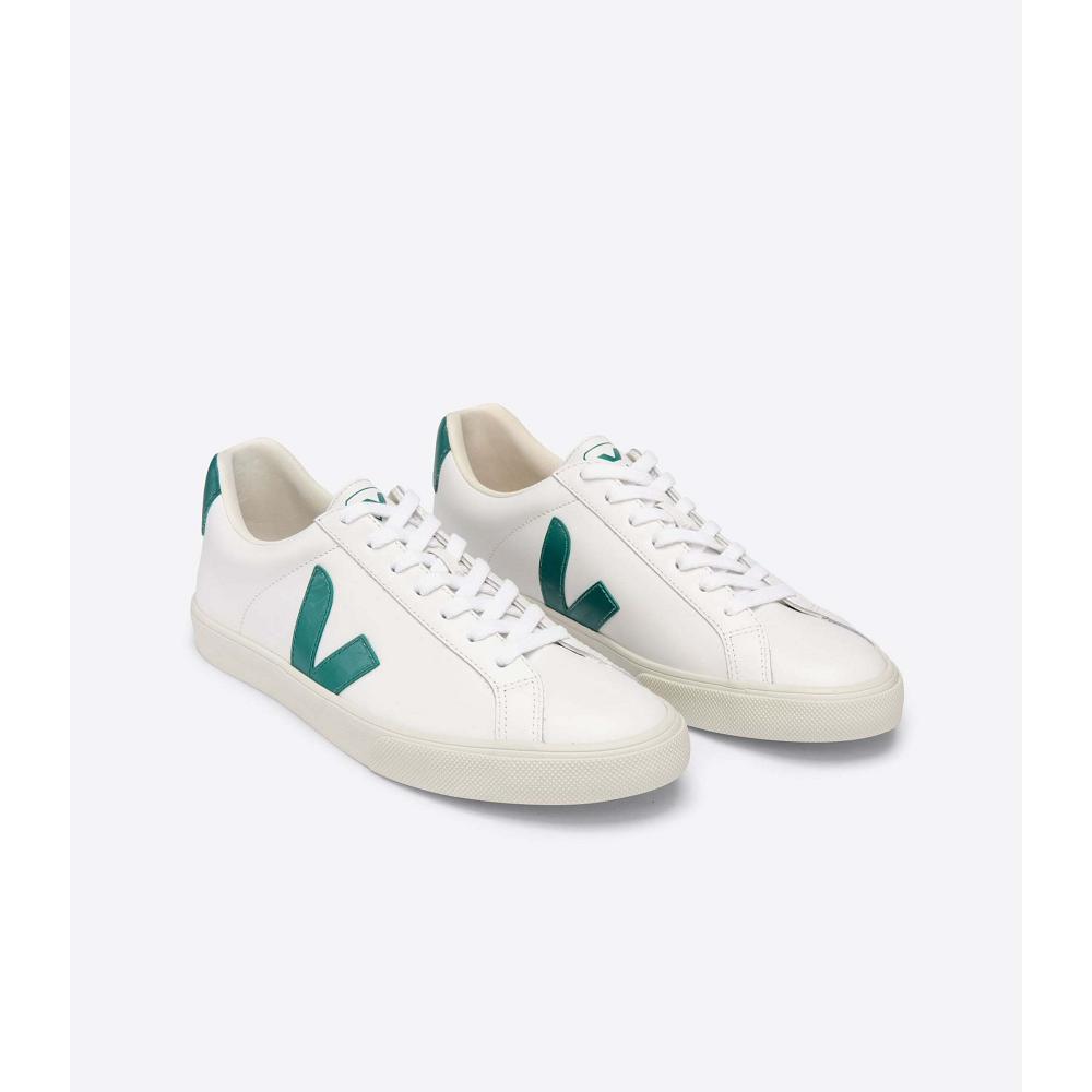 Veja ESPLAR LEATHER Sneakers Dames White/Green | NL 619KOR